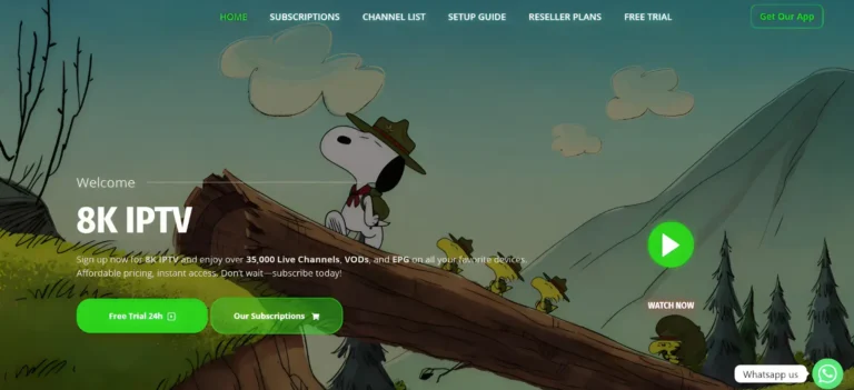 best iptv providers 8K IPTV